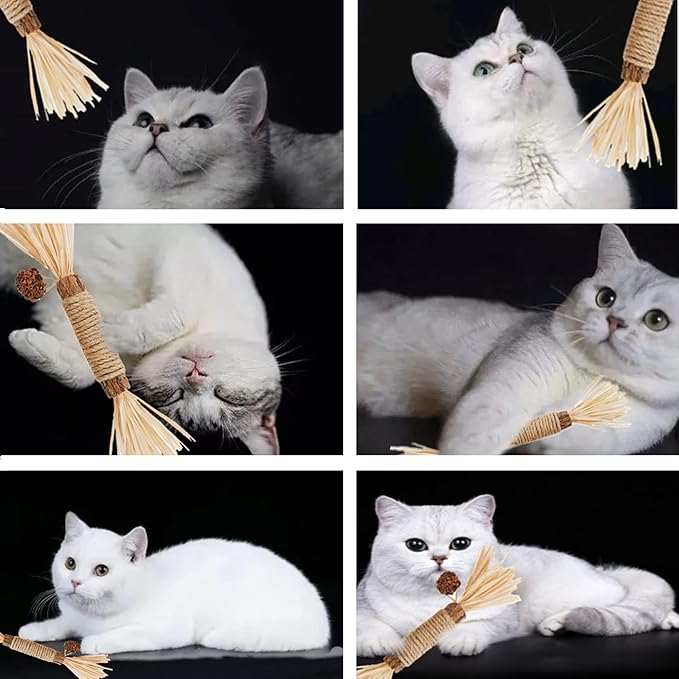 Cat Toys 3Pack Silvervine Chew Stick Kitten Treat Catnip Toy Kitty Natural Stuff Catnip for Cleaning Teeth Indoor Dental Snack Interactive