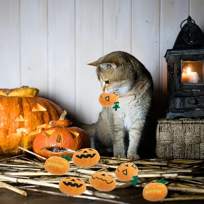 6pcs Halloween Pumpkin Catnip Toy,Hallowen Indoor Pumpkin Shaped Cat Toy Plush Interactive Chew Bite Toys for Cat Kitten Indoor Festive Holiday Cat Lover Gift