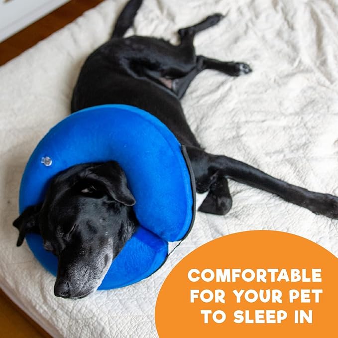 BENCMATE Inflatable Dog Cone Collar Alternative, Soft Dog Cone for Small Medium Large Dogs and Cats, Neck Recovery ECollar Donut Collar After Surgery (Large, Purple)