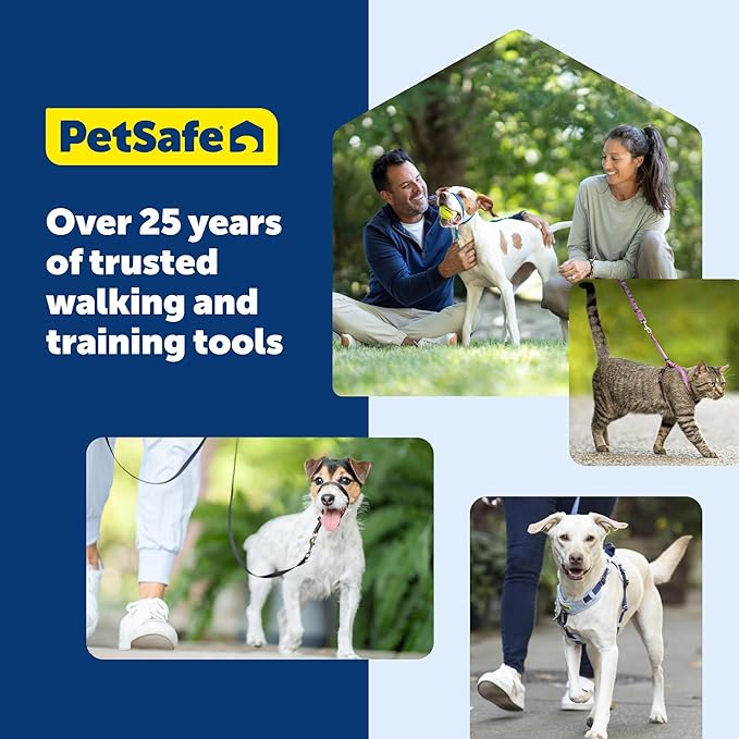 PetSafe Gentle Leader Headcollar No-Pull Dog Collar - Helps Improve Walks - Durable Nylon Construction - Padded Nose Loop - Adjustable Fit - Comfort Walking Halter - Medium, Silver