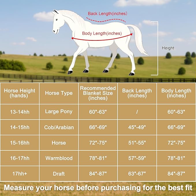 Horse Fleece Cooler, Blanket Liner - 300g Anti-Pilling Fleece, Moisture-Wicking, Cooling & Drying for Post-Workout, Bath & Travel, Prevent Overheating & Chilling Mintgreen 69
