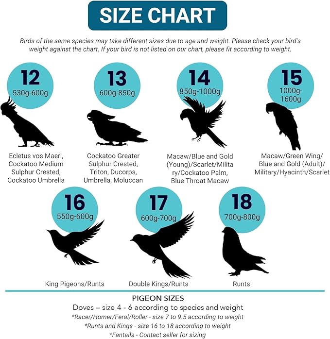 Bev's Bird Boutique Regular Flyper Adjustable Bird Diaper | Reusable, Washable Cloth | Comfort Fit for Parrot, Cockatiels, & Other Small Birds | Fashionable Avian Accessories, Retro Tux, Size 8
