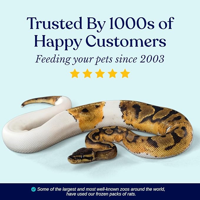 MiceDirect Frozen Mice Small Pinkie Feeders Snake Food for Corn Snakes Ball Pythons Lizards (.5-1 inch) (200 Count)