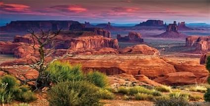 72X18IN Desert Loess Rock Cactus Oasis Reptile Habitat Background, Natural Sunset Desert Themed Terrarium Background, Aquarium Background with 10 EVA Double-Sided Tape