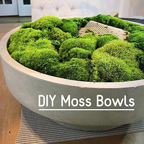 Preserved Pole Moss Pillow Bun Cushion Natural Green Decorative Real Natural Green DIY Kit Terrariums Gardenning Art Wall Decor Florist Decor Easter Table Decor Wedding(4.5 sq.ft., Green-B)