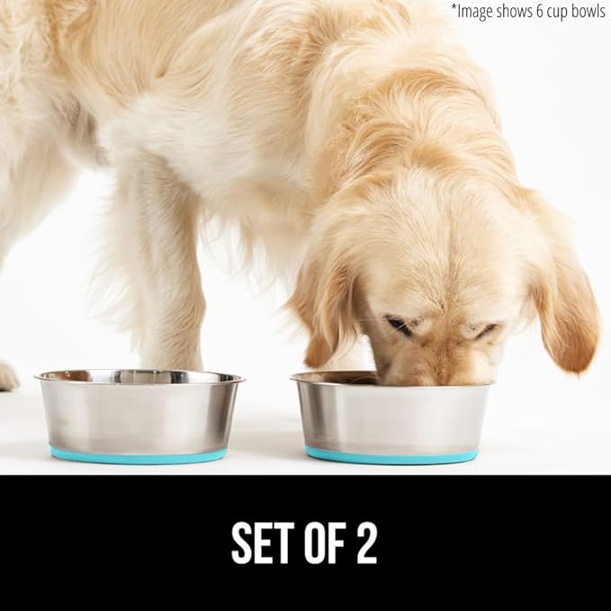 GORILLA GRIP Set of 2 Dog Bowls, Holds 6 Cups (48 fl oz), Heavy Duty Metal Food and Water Bowl for Feeding Dogs and Cats, Dishwasher Safe Rust Resistant Stainless Steel, BPA Free Rubber Base Turquoise