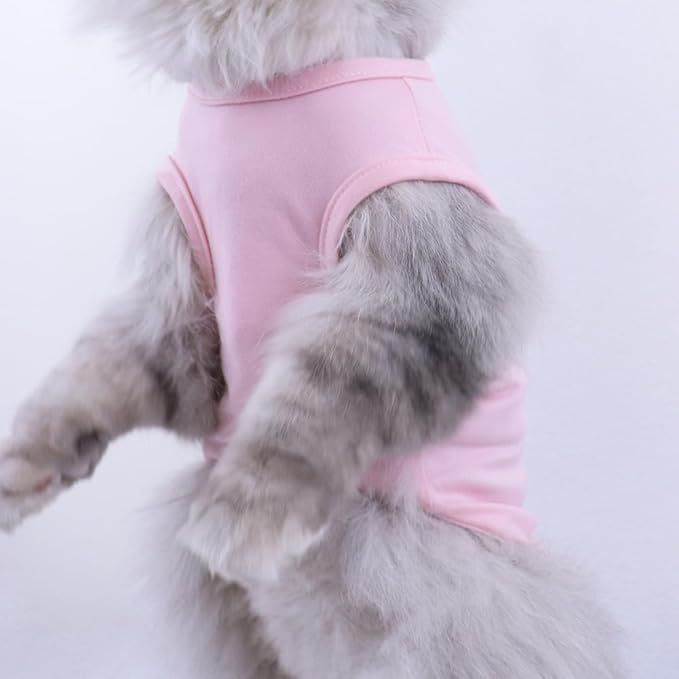 Custom Dog Birthday Shirt,Personalized Pet Apparel Print with Name Age Number,Pet Birthday Outfit,Lightweight Breathable Cotton Vest for Small Medium Large Dogs Cat (Blue, Small)
