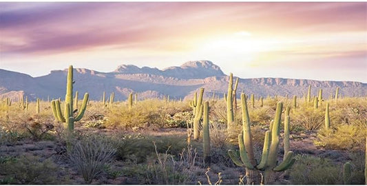 AWERT Reptile Habitat Background Blue Sky Oasis Mountain Cactus Sun and Desert Terrarium Background 48x20 inches