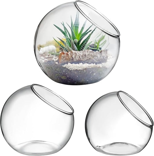 balacoo 3 Pcs Glass Terrariums Bowl for Plants, Terrarium Jar for Air Plant Clear Globe Vase Glass Bowl for Home Desktop Decor