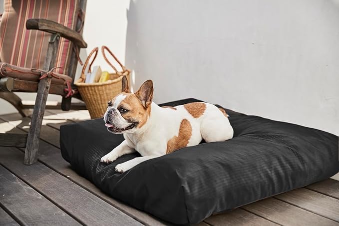 K9 Ballistics Tough Rectangle Pillow XL Extra Large Dog Bed - Removable Cover, Washable, Durable & Water Resistant Dog Bed Made for Big Dogs 54"x38", Obsidian Black