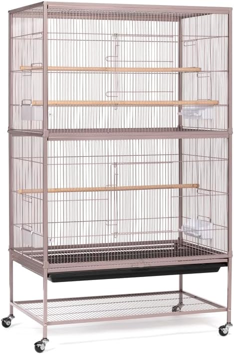 French Fabulous Iron Flight Cage with Elegant Ironwork, Spacious Interior, Durable Construction, and Ample Room for Birds to Fly, Play, Blush/53 H
