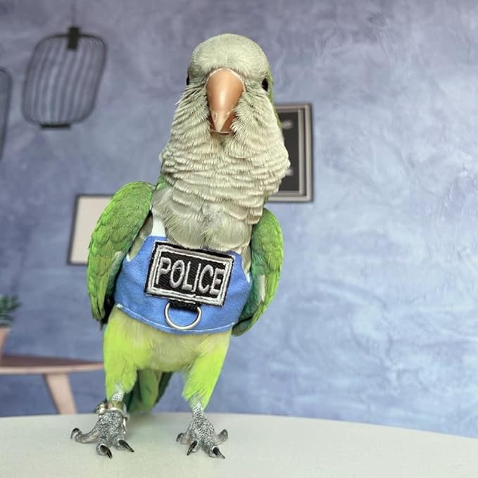 Bird Flight Harness Vest, Parrot Flight Suit with Leash, Bird Flying Clothes with Rope and Handle for Outdoor Activities (Without Leash,Caique)