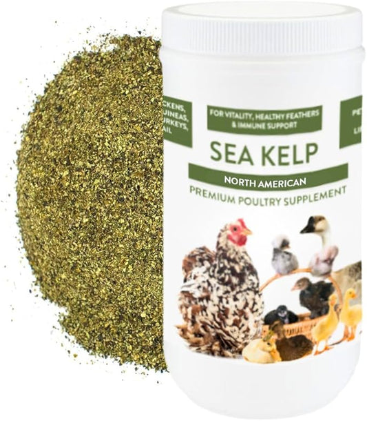 Kelp for Chickens & Duck Feed (5 Pound): Chicken Vitamins | Chicken Supplements | Vitamins for Chickens | Pampered Chicken Mama