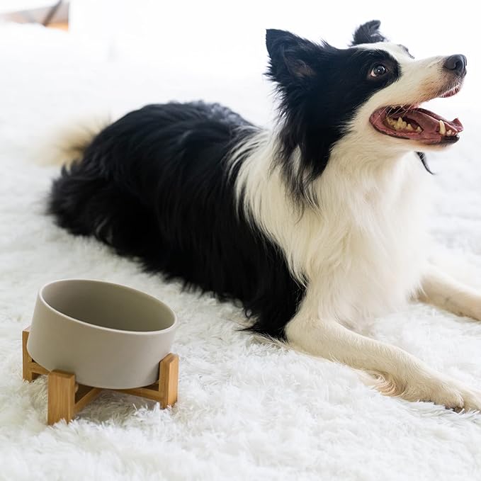SPUNKYJUNKY 15° Slanted Ceramic Dog and Cat Bowl with Wooden Stand, Tilted Bulldog Food and Water Bowl No Slip Non-Spill for Cats Medium Dogs Big Face Pets 28.7 OZ (3.6 Cups, Grey)