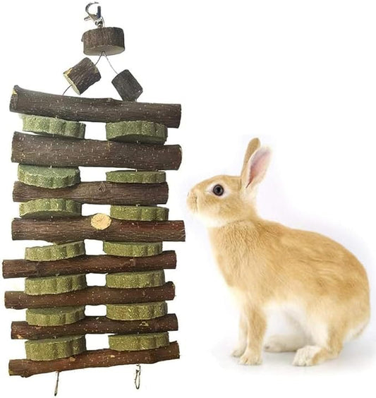 kathson Rabbit Bunny Chew Toys for Teeth, Natural Apple Wood Guinea Pigs Hanging Treats Chinchilla Treats Sticks for Rabbit Hamsters Bunny Chinchilla Squirrels and Gerbils