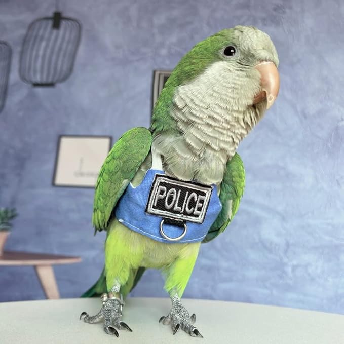 Bird Flight Harness Vest, Parrot Flight Suit with Leash, Bird Flying Clothes with Rope and Handle for Outdoor Activities (Without Leash,Caique)