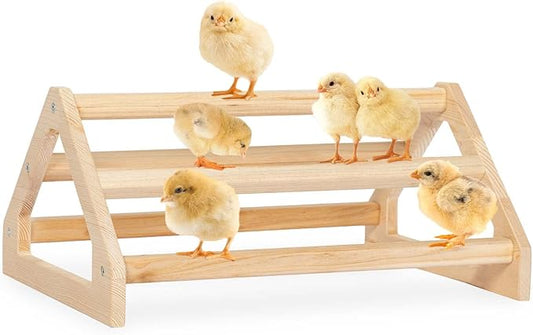 PETSFIT Chick Perch Prevent Rotation Design, Strong Wooden Roosting Bar, Easy to Assemble and Clean, Fun Toys for Chick