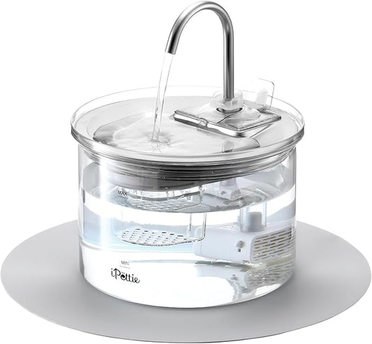 iPettie Glass Cat Water Fountain, Kitty Spout Water Fountain 68oz/2L for Cats Dogs with 2 Spray Heads, 3-Stage Filtration, Automatic Water Dispenser, Glass & Stainless Steel