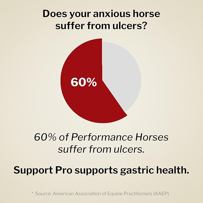 Formula 707 Support Pro Daily Packs for Horses - 28 Day Supply - Calming, Ulcer Support, Hindgut Health, Focus & Stress Relief