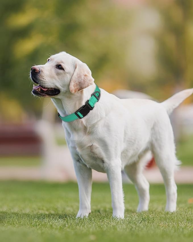 Joytale Large Dog Collar, Reflective and Adjustable Nylon Pet Collar with Quick-Release Buckle for Extra Large Dogs, Teal, XL