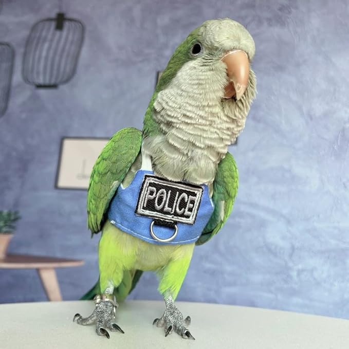 Bird Flight Harness Vest, Parrot Flight Suit with Leash, Bird Flying Clothes with Rope and Handle for Outdoor Activities (Without Leash,Caique)