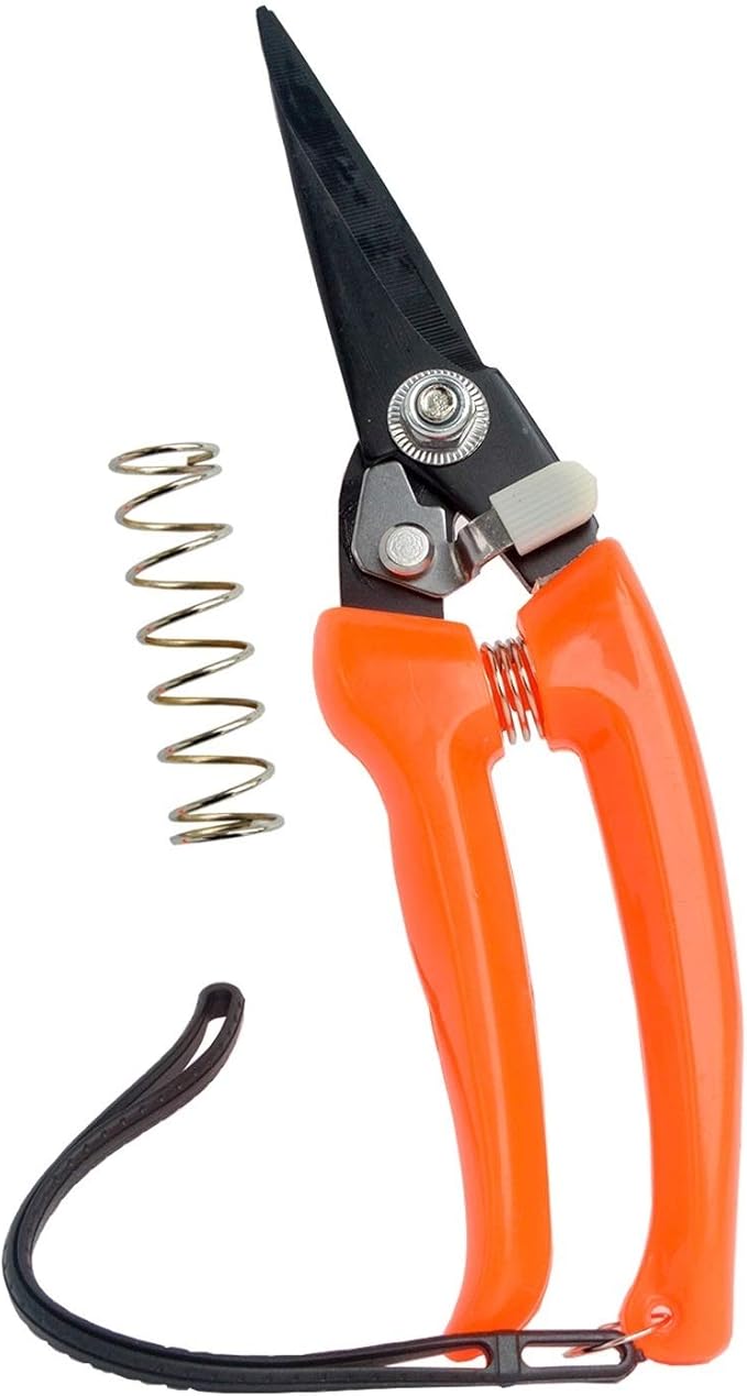 Goat Hoof Trimmers Sheep Hoof Trimming Shears Nail Clippers Carbon Steel Shrub Trimmer Floral Shears Gardening Scissors 8 inch Long