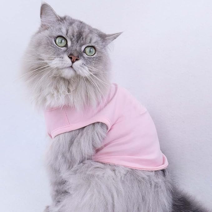 Custom Dog Birthday Shirt,Personalized Pet Apparel Print with Name Age Number,Pet Birthday Outfit,Lightweight Breathable Cotton Vest for Small Medium Large Dogs Cat (Blue, 8X-Large)