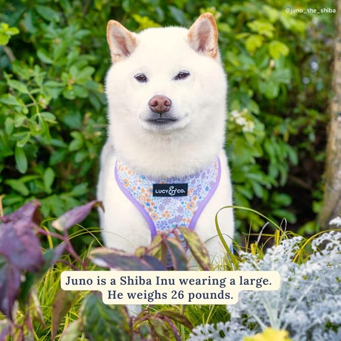 Lucy & Co. Cute Reversible Dog Harness Walking Halter - Best Designer Pet Harnesses for XS - XL Dogs - Padded Adjustable Vest for Easy Walking (Small, Among The Wildflowers - Purple Floral)