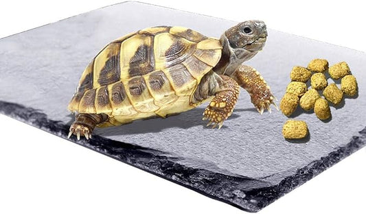 kathson Reptile Basking Platform (7.9 x 11.8 inches), Natural Rock Plate Turtle Food Bowl Feeding Dish Resting Terrace Habitat Decor for Tortoise Turtle Lizard Bearded Dragon Crested Gecko Snake