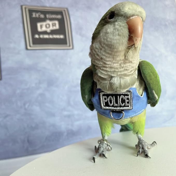Bird Flight Harness Vest, Parrot Flight Suit with Leash, Bird Flying Clothes with Rope and Handle for Outdoor Activities (Without Leash,Caique)