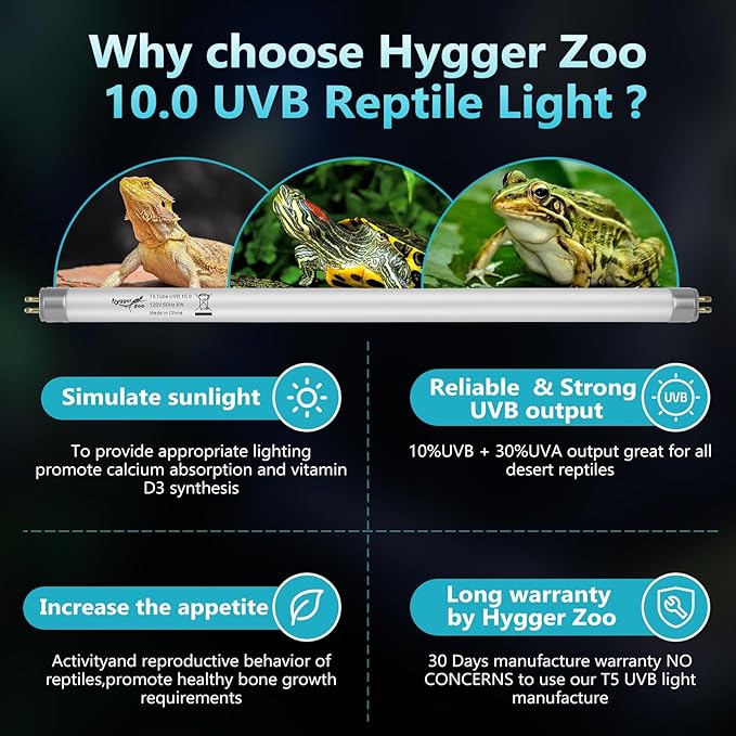 T5 UVB Reptile Light 8W 10.0 + UVA Light Bulb for Reptiles, 2-Pack Lamp Tube for Bearded Dragon, Desert-Grade Reptile UVB lamp Fixture
