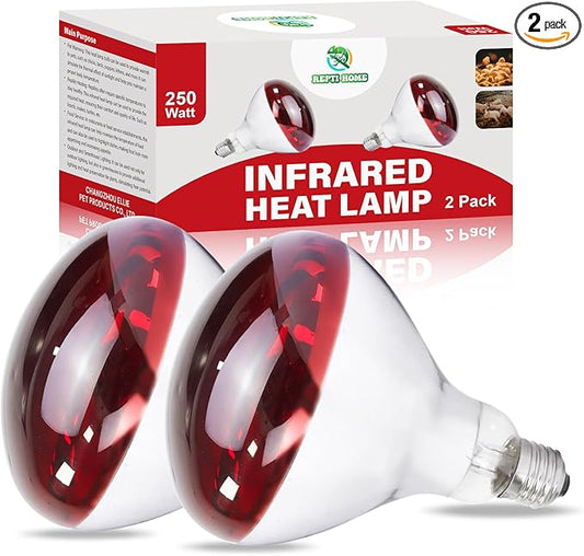 250W Infrared Heat Lamp for Chicken, Red Heat Light Bulb R125 2 Pack, Heat Lamp Bulb for Chick Croop, Reptiles, Pets, Food