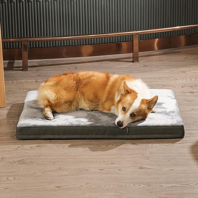 Amazon Basics Dog Bed with Cooling Gel Memory Foam, Pressure-Relief Support for Dogs up to 120lbs, Non-Slip Bottom, Machine Washable Cover, Giant Sized (50" x 34"), Grey
