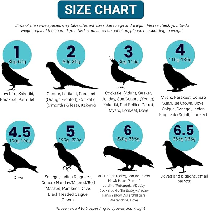 Bev's Bird Boutique Regular Flyper Adjustable Bird Diaper | Reusable, Washable Cloth | Comfort Fit for Parrot, Cockatiels, & Other Small Birds | Fashionable Avian Accessories, Pirate, Size 7.5