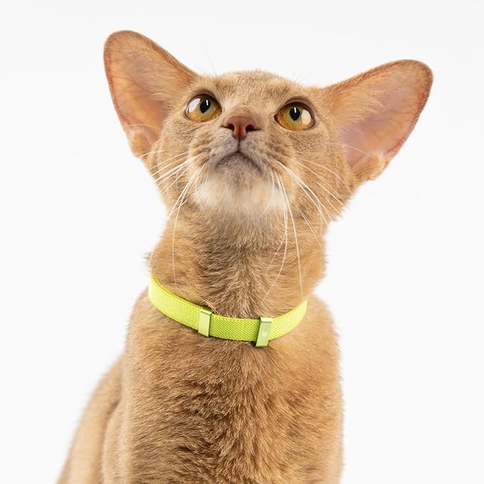 Safety Cat Collar - U.S. IDA Gold Awarding Design, Stretch Elastic Quick Release, Non Breakaway - Light Weight for Kitten, Neck Fit 5.9'-11.8' for All Small Large Cat,S(Space Grey)