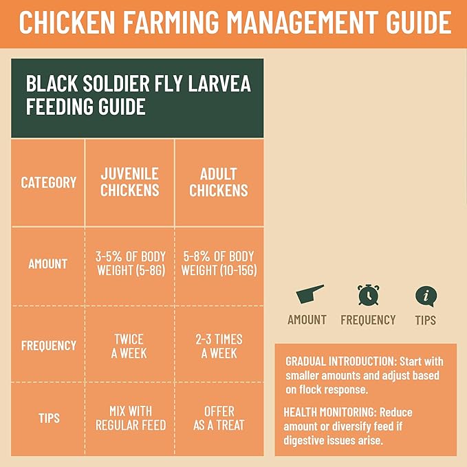 5LB Non-GMO Dried Black Soldier Fly Larvae for Chicken – 85X More Calcium Grubs Than Mealworms for Strong Eggshells & Healthy Growth - High Protein for Chickens, Birds, Ducks, Geese & Pets