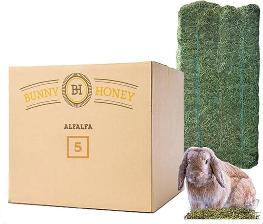 Bunny Honey Organic Alfalfa Hay for Bunnies 12 lb Dim wt/5 lb High-Protein & Calcium, Supports Growth & Dental Health, Fresh & Nutritious