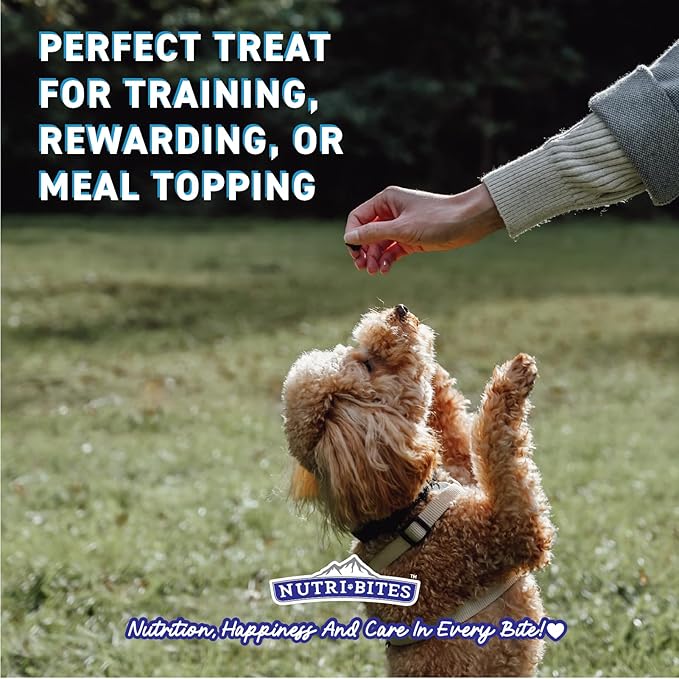 Nutri Bites Freeze Dried Chicken Dog & Cat Treats, 4 oz | Healthy Pet Training Treats or Food Topper | All Natural, 1 Single Animal Protein, High Protein