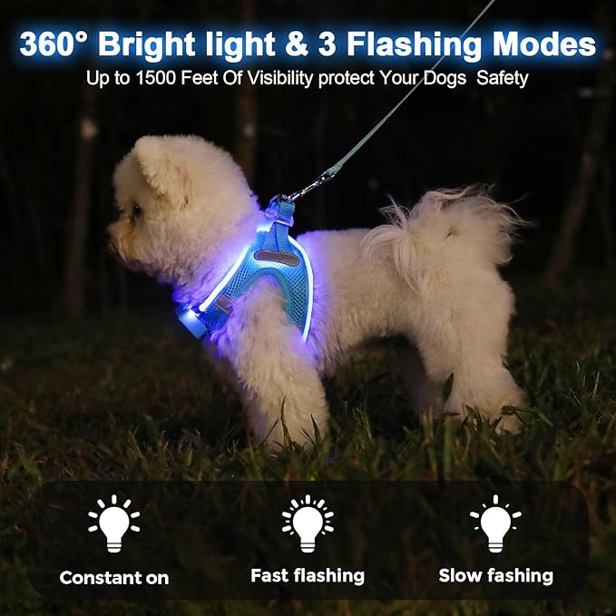 Light Up Dog Harness,Rechargeable LED Dog Harness for Small Medium Large Dogs,Reflective Lighted Safety Vest for Night Walking & Camping,Lightweight & Adjustable,Blue,XS
