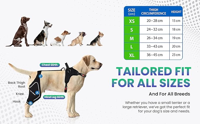 Petpanm- Adjustable Dog Knee Brace- Right Hind Leg with Integreted Harness- Premium Support for Torn ACL, Sprains & Strains Recovery, Enhances Mobility, Comfortable Neoprene.(Large)