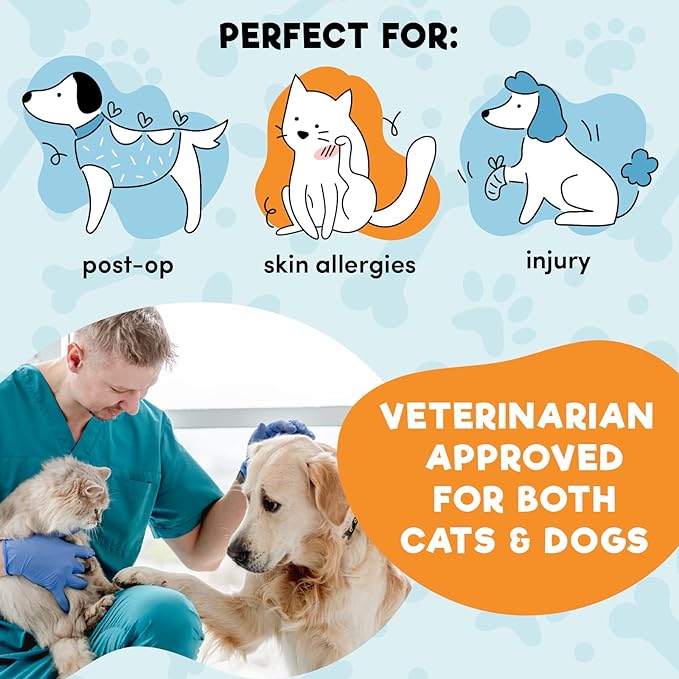BENCMATE Inflatable Dog Cone Collar Alternative, Soft Dog Cone for Small Medium Large Dogs and Cats, Neck Recovery ECollar Donut Collar After Surgery (Small, Grey)