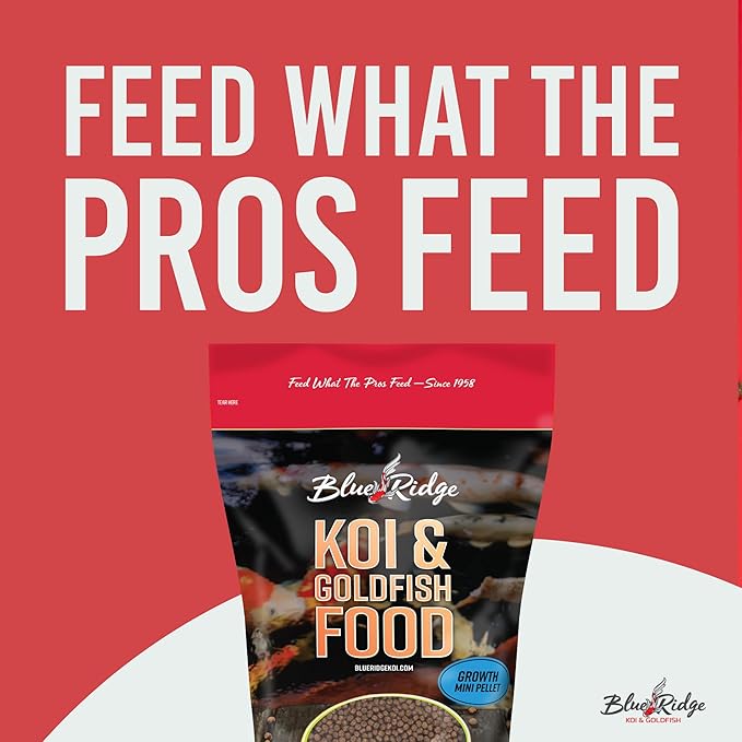 Blue Ridge Koi Fish Food 2lb - Koi Food Mini Growth Formula, Goldfish Food, Premium Fish Food for Ponds, Ponds Fish Food, Floating Pond Pellets