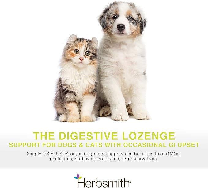 Herbsmith Organic Slippery Elm - Digestive Aid for Dogs and Cats - Constipation and Diarrhea Relief for Dogs and Cats - Megaesophagus Dog Aid- 75g