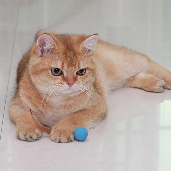 Cat Toys Balls with Feathers, 3 Pcs Interactive Cat Bouncy Balls for Indoor Cats and Playful Kittens, Rubber Kitten Ball Toys for Interactive Playing, Chase Training and Hunting Exercise