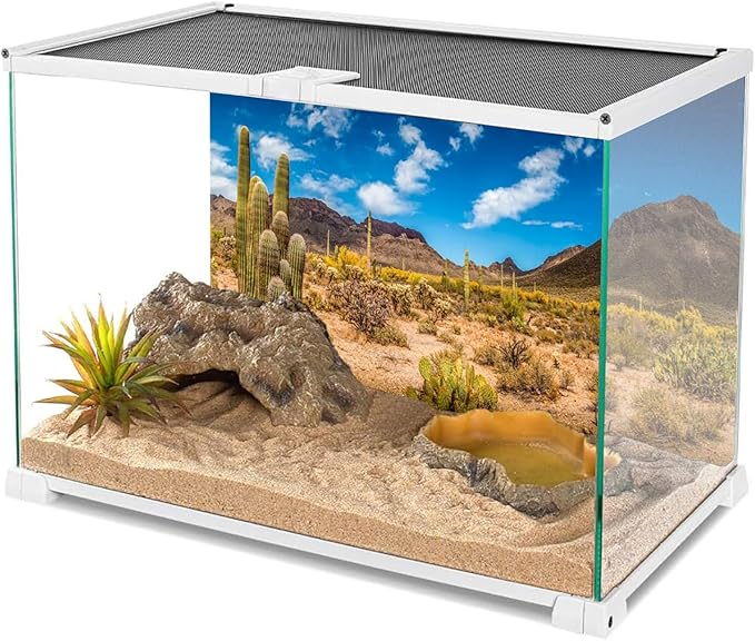 AWERT 24x12 inches Reptile Habitat Background Blue Sky Oasis Cactus Desert Terrarium Background Vinyl