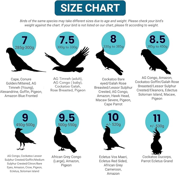 Bev's Bird Boutique Regular Flyper Adjustable Bird Diaper | Reusable, Washable Cloth | Comfort Fit for Parrot, Cockatiels, & Other Small Birds | Fashionable Avian Accessories, Retro Tux, Size 16