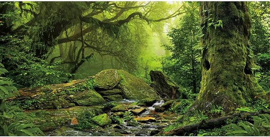 AWERT Tropical Forest Terrarium Background Stream Green Huge Tree Reptile Habitat Background Foggy Rainforest Aquarium Background 30x12 inches Durable Polyester Background