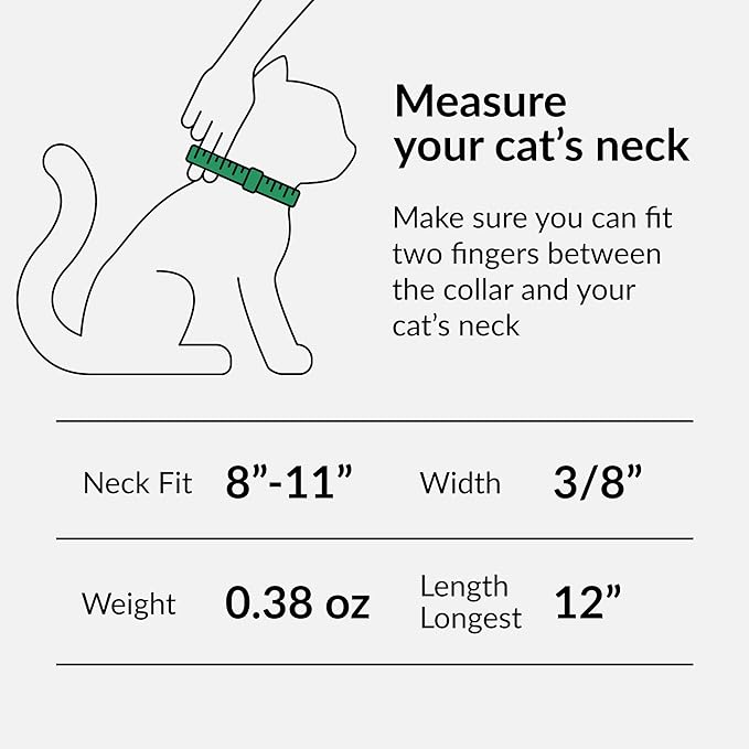 CollarDirect Leather Cat Collar, Cat Safety Collar with Elastic Strap, Kitten Collar with Bell Black Blue Red Orange Lime Green (8-11 Inch, White)