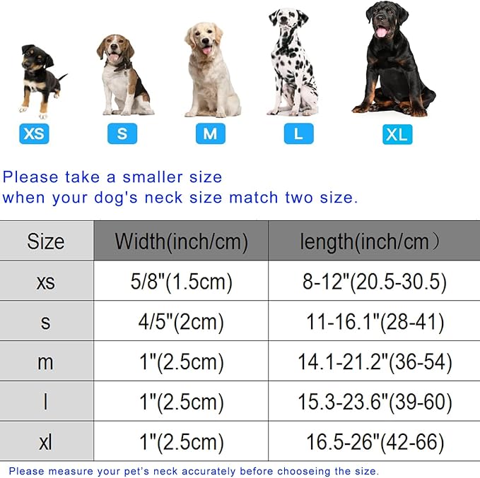 DOGWONG Christmas Dog Collar, Red Santa Claus Print Cute Dog Collars Winter Holiday Male Female Adjustable Dog Collar for Medium Large Dogs