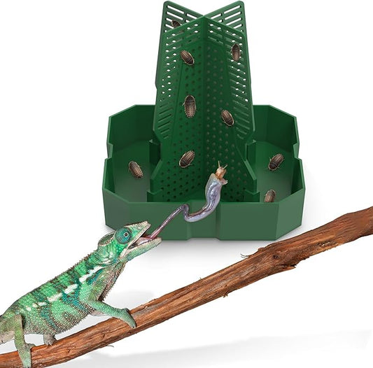 Chameleon Feeding Bowl for Reptile Terrarium, Climbable Design for Reptile to Hunt, Suitable for Feeding Lizards, Bearded Dragons, Geckos, Guardians, Frogs, Green, Small
